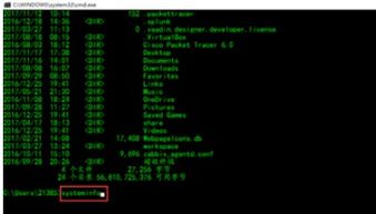 計算機信息統計與信息技術開發指南